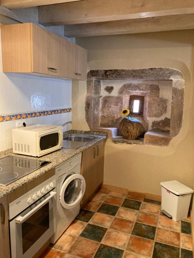 Agotxenea. Precioso Apartamento Rural En El Baztan Maya del Baztan Bagian luar foto